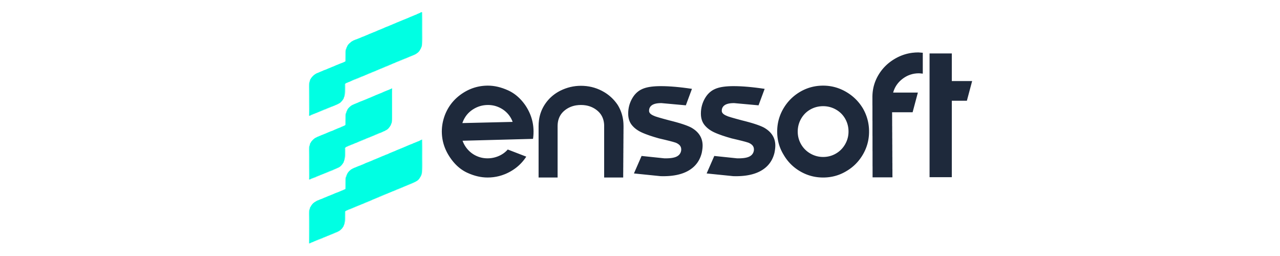 ENS Soft Yazılım Geliştirme & Bilişim Teknolojileri