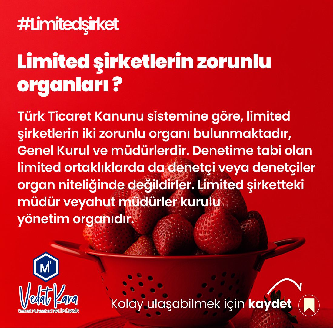 Serbest Muhasebeci Mali Müşavir Vedat KARA Serbest Muhasebeci Mali Müşavir Vedat KARA